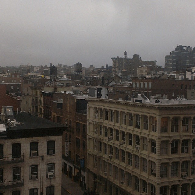 foggy tribeca