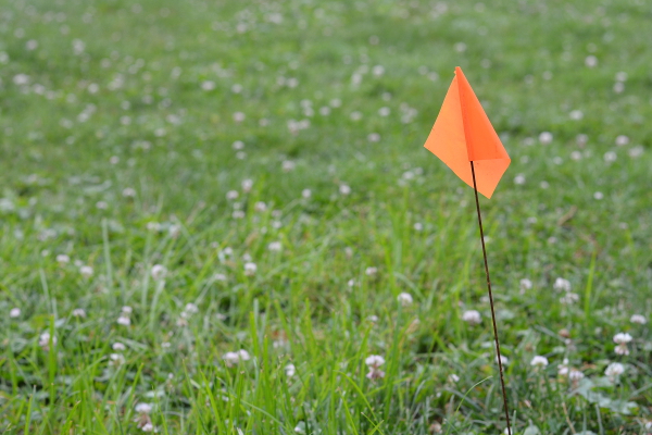 flag