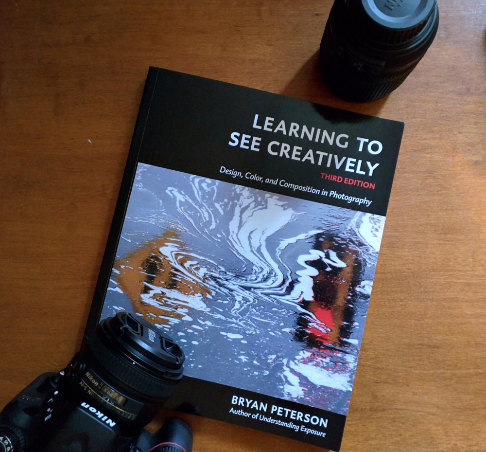learning to see creatively