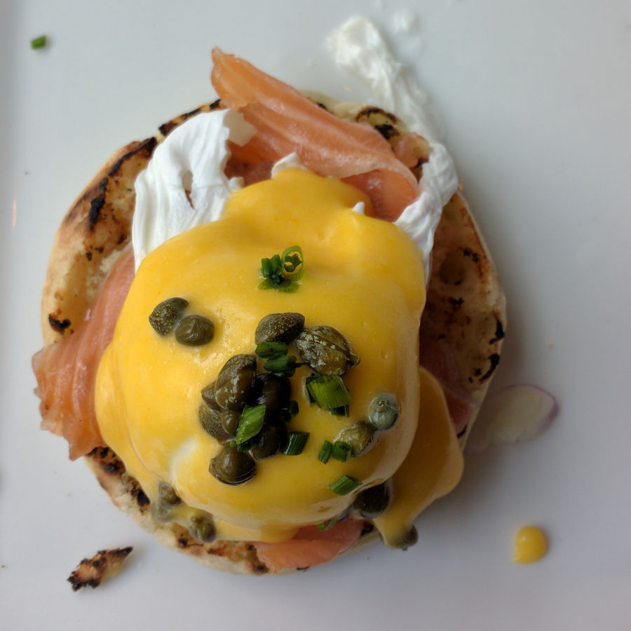 the little lion smoked salmon benny eggs benedict