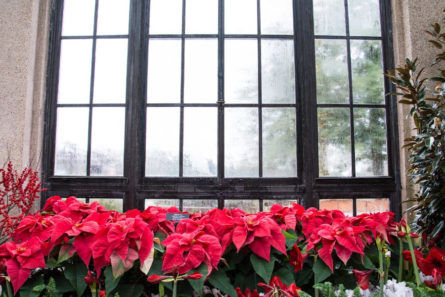 Each year Longwood Gardens impresses with their A Longwood Christmas exhibit.