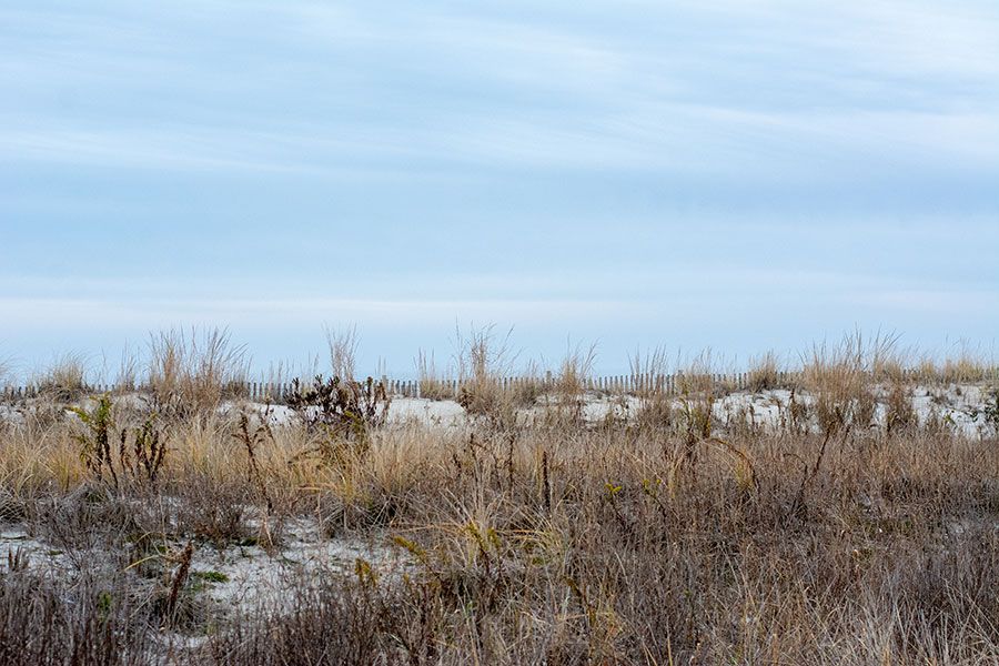The beach dunes are the best spot to enjoy during Cape May in the winter.