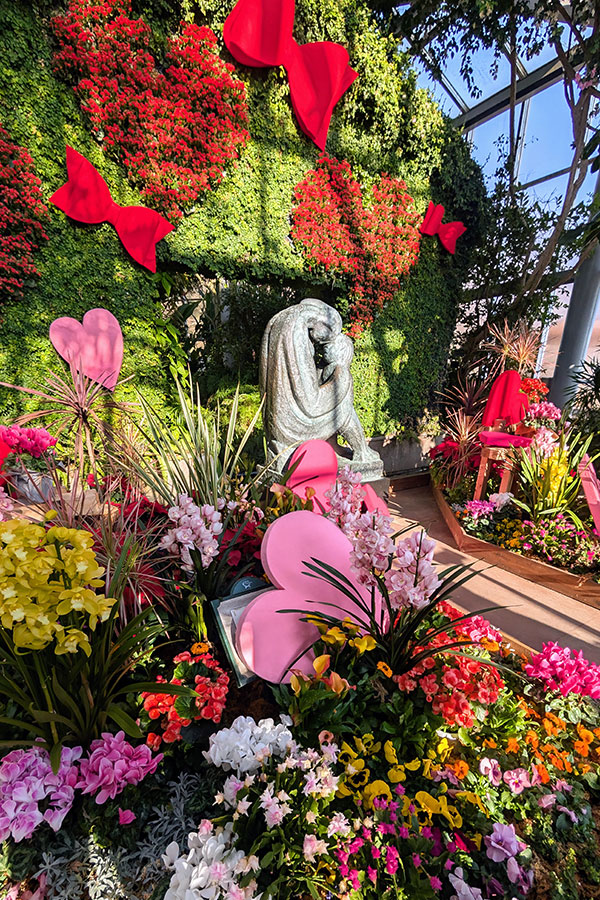 Colorful Valentine's Day floral display at the Kobe Nunobiki Herb Gardens greenhouse with heart-shaped decorations and blooming orchids
