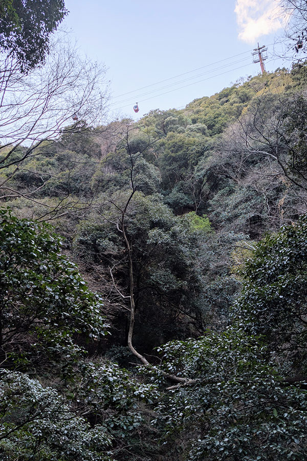 View of red Kobe Nunobiki Ropeway gondolas high above a forested mountain valley near the Nunobiki Waterfalls