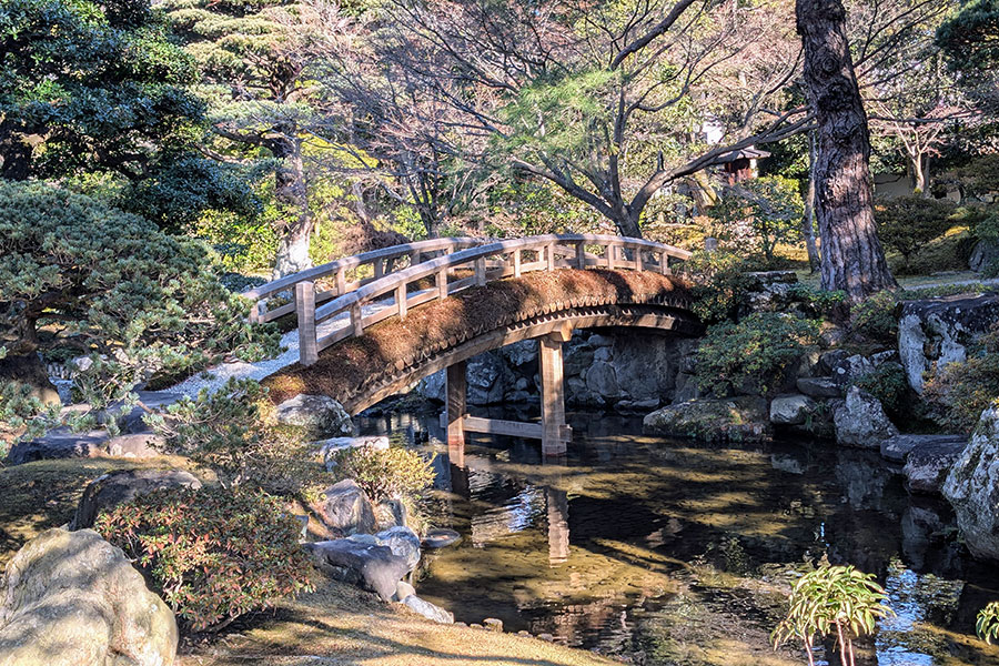 Traditional Japanese wooden bridge over a reflective pond in Kyoto Gyoen National Garden, surrounded by lush green trees and shrubs, perfect for a peaceful travel blog post on Japanese gardens.