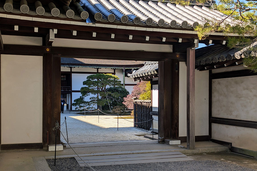 A view through an open wooden gate into a tranquil white gravel courtyard with a manicured pine tree at the Kyoto Imperial Palace.