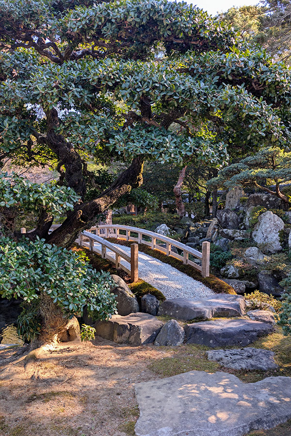 A low wooden footbridge with a gravel path leads to large stone slab stepping stones under the branches of a gnarled, leafy tree in the Kyoto Imperial Palace garden.