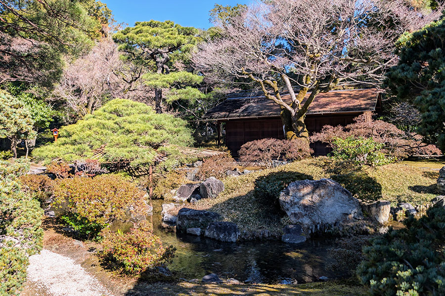 A tranquil Japanese garden at the Kyoto Imperial Palace, featuring a small stream flowing past mossy rocks, manicured pine trees, and a traditional wooden teahouse.