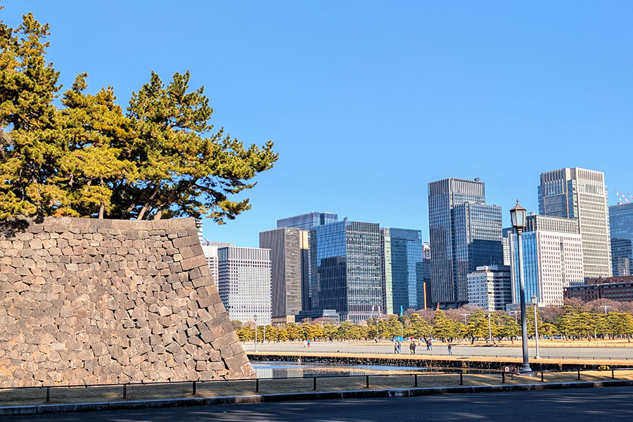 A Japanese pine tree grows atop the massive ancient stone wall of the Tokyo Imperial Palace, contrasting with the modern glass skyscrapers of the Marunouchi district.