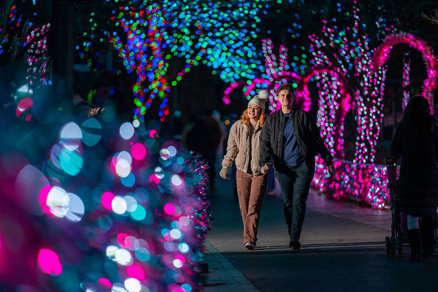 A smiling couple holds hands while strolling through a vibrant tunnel of glowing pink, blue, and green holiday lights at the LumiNature event at the Philadelphia Zoo.