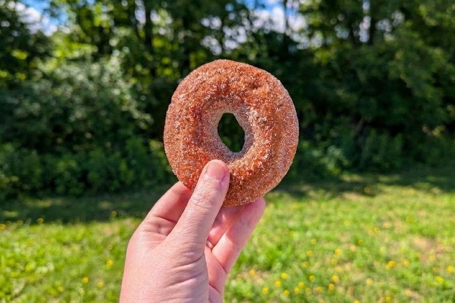Close-up of the famous apple cider donut at Golden Harvest Farms, a top Hudson Valley food stop.