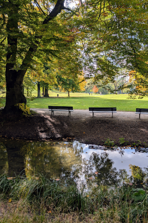 Wooden park benches along a serene stream in Munich's English Garden during autumn.